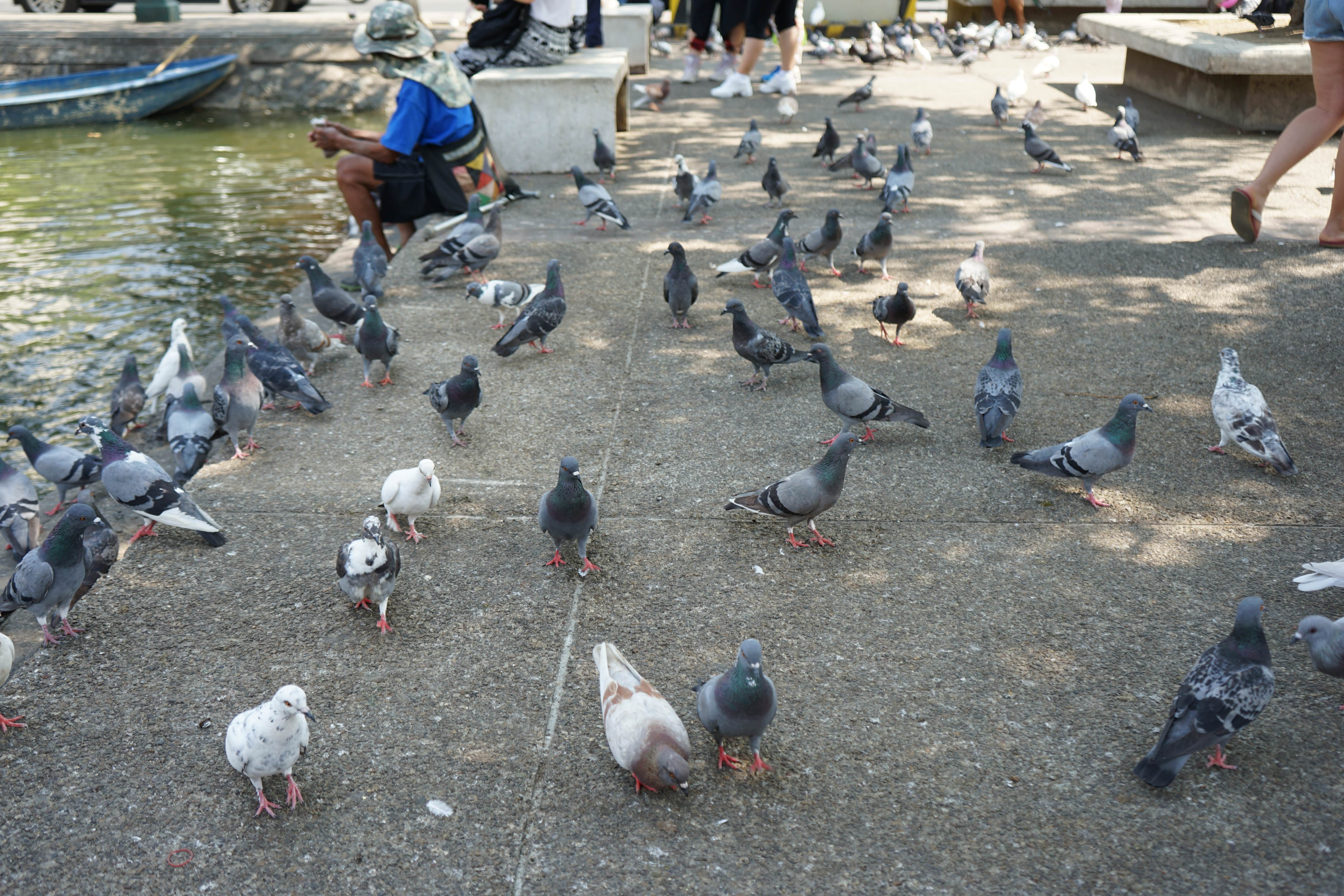 咕咕咕，在路上了